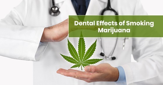 Do you smoke Marijuana? Did you meet your Dentist in last 6 months? If you didn’t, it’s time for dental cleaning